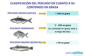 Clasificación de pescados por contenido graso