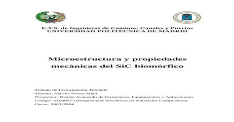 Microestructura de SiC biomórfico