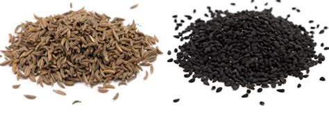 Diferencias entre comino blanco y comino negro