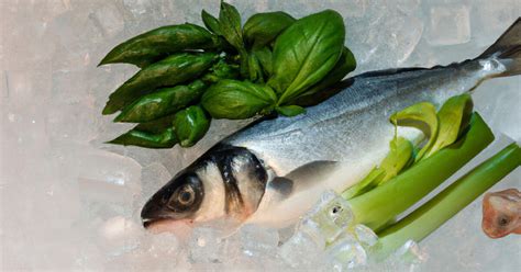 Guía para almacenar pescado fresco