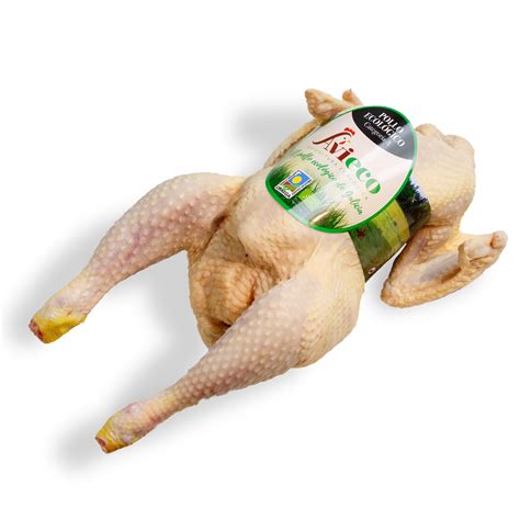 Pollo ecológico en su entorno natural
