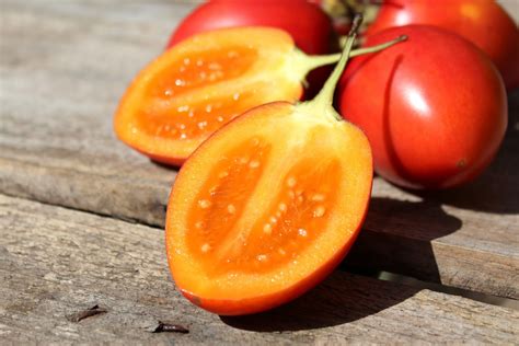 Ilustración comparativa entre un tomate roma y un tomate de árbol (tamarillo)