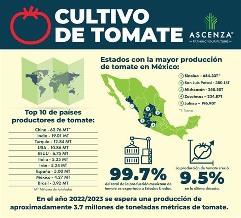 Mapa mostrando la distribución geográfica del cultivo de tomate de árbol en el mundo