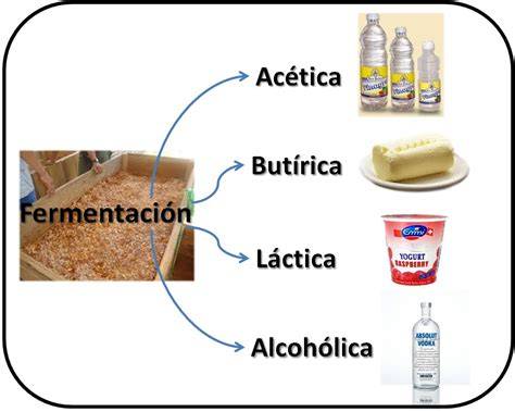 Esquema de los diferentes tipos de fermentación y sus productos