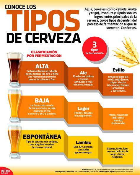 Tipos de fermentación de la cerveza: alta, baja y espontánea