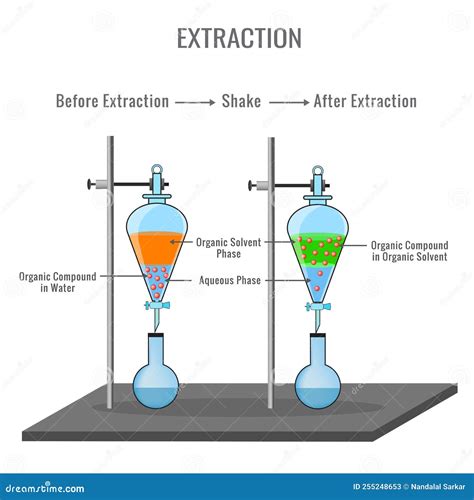 Diagrama de extracción de compuestos bioactivos del brócoli