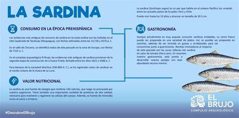 Infografía sobre los beneficios de las sardinas para la salud