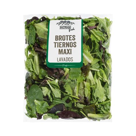 Recetas con brotes verdes