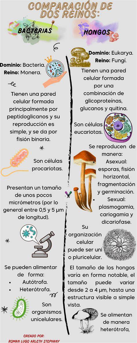 Diferencias entre los géneros de bacterias acéticas Gluconobacter y Acetobacter