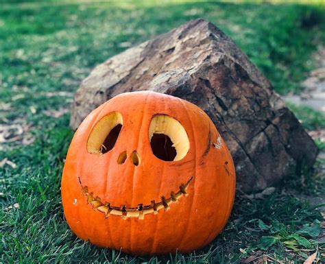 Panes temáticos de calabaza para Halloween