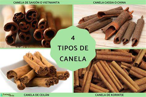 Tipos de canela: Ceylán vs. Casia