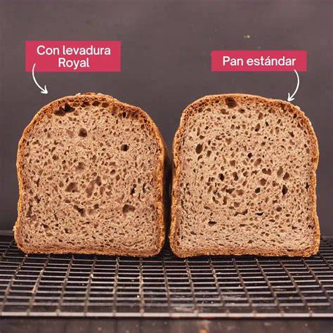 Comparación de masas con y sin levadura