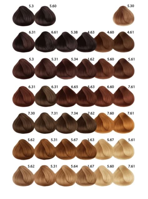 Espectro de colores de cabello castaño