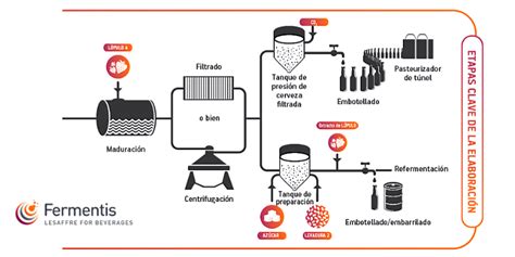 Proceso de producción de levadura seca activa