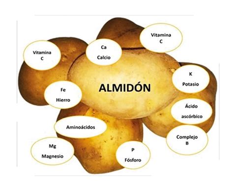 Diagrama de la estructura del almidón en la patata antes y después de freír