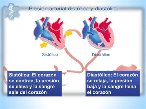 Esquema de la presión arterial (sistólica y diastólica)