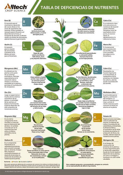 Tabla de deficiencias de nutrientes en la patata y sus síntomas visuales