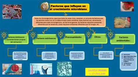 Factores que influyen en el terroir microbiano del vino
