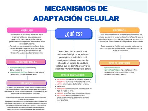 Mecanismos de adaptación de las levaduras al estrés