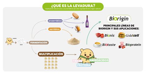 Aplicaciones de levaduras en agricultura sostenible