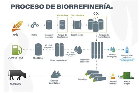Producción de biocombustibles a partir de levaduras