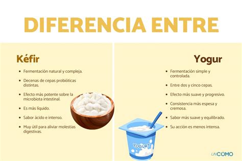 Diferencias entre kéfir y kumys