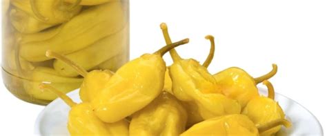 Proceso de encurtido de semillas de pimiento