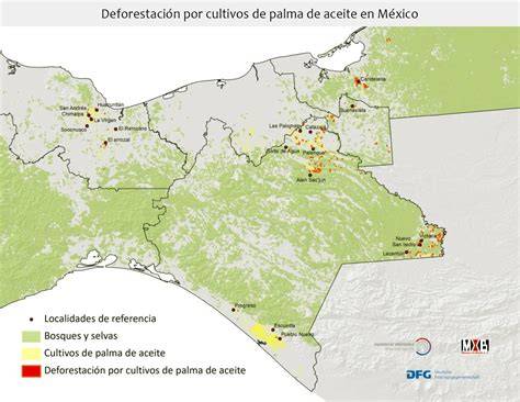 Mapa de deforestación por plantaciones de palma aceitera
