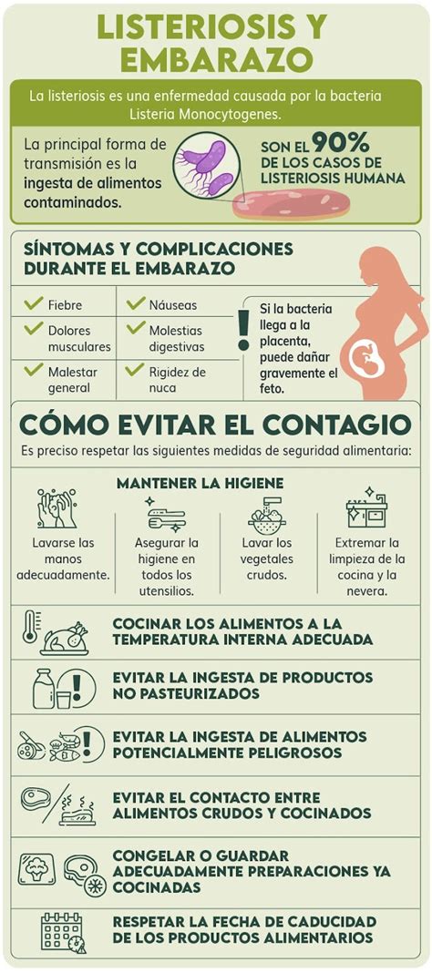 Infografía sobre la toxoplasmosis y la listeriosis en el embarazo