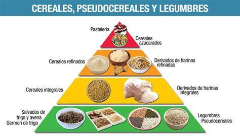Pirámide alimenticia destacando los cereales integrales