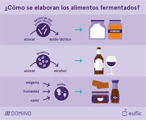 Cronograma de adición de nutrientes durante la fermentación