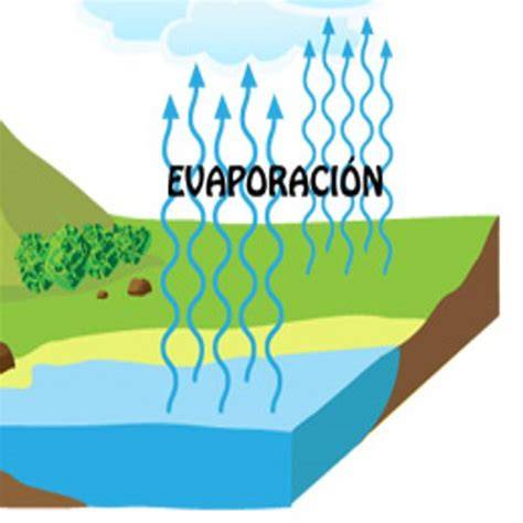 Esquema del proceso de evaporación del agua y absorción de aceite en una patata durante la fritura