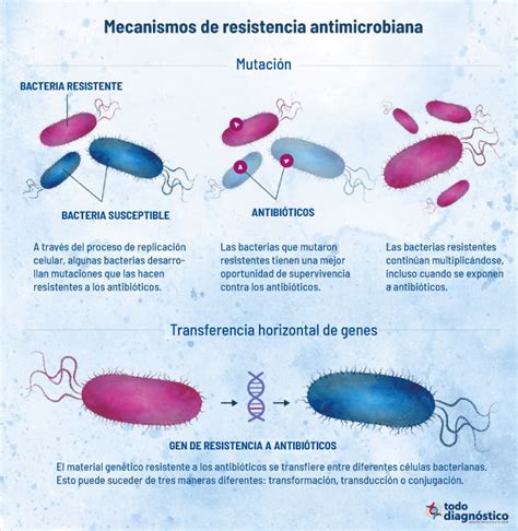 Representación gráfica de la resistencia antimicrobiana en bacterias.