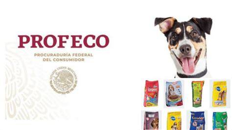 Estudio de calidad de alimentos para mascotas por Profeco