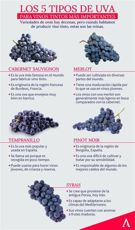 Tabla de tipos de uvas Garnacha