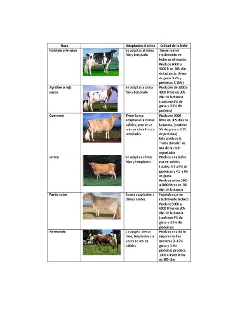 Comparativa de razas de terneros para cebo
