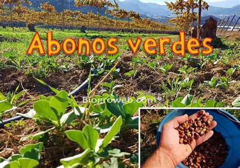 Calendario de siembra de abonos verdes por estación