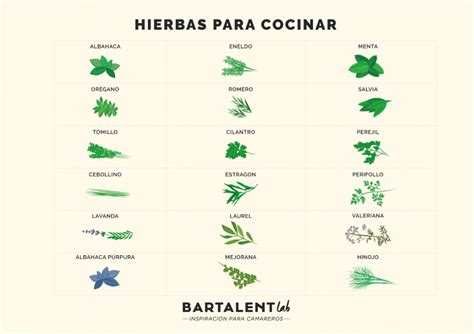 Aceite de hierbas para condimentar