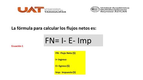 Fórmula de cálculo de carbohidratos netos