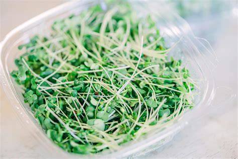Imagen de brotes de brócoli y espárragos frescos