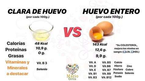 Comparativa nutricional de la clara de huevo
