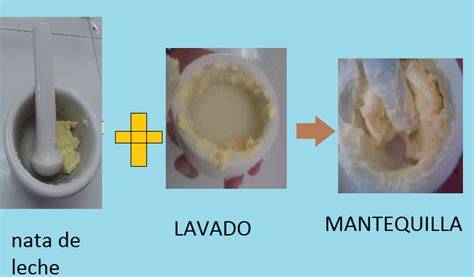 Proceso de obtención de la nata