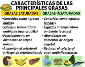 Fuentes de grasas saturadas, monoinsaturadas y poliinsaturadas