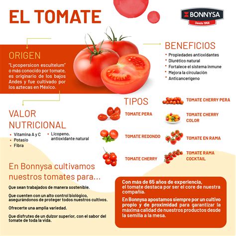 Infografía mostrando los beneficios del tomate rallado Bonnysa (frescura, naturalidad, comodidad)