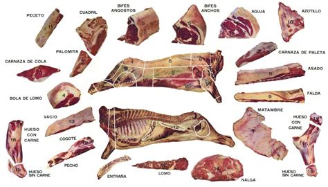 Variedad de cortes de ternera para guisar