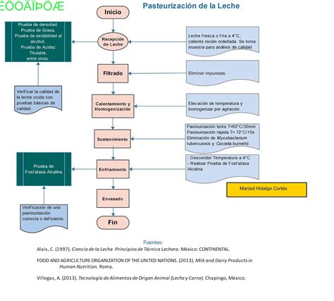 Diagrama comparativo de pasteurización y esterilización de la leche