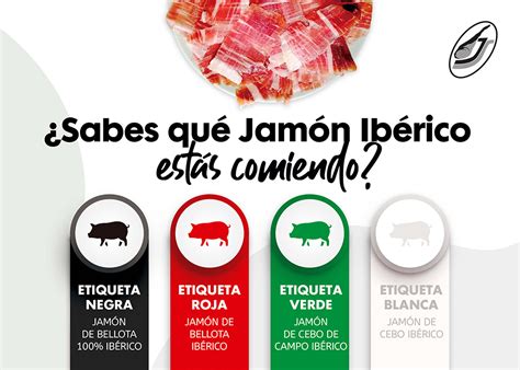 Tipos de jamón ibérico