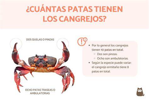 Patas de cangrejo descongelándose en el refrigerador