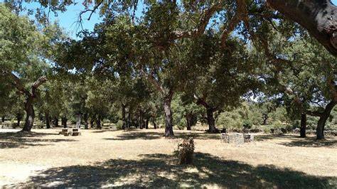 Dehesa Tres Encinas en Cala