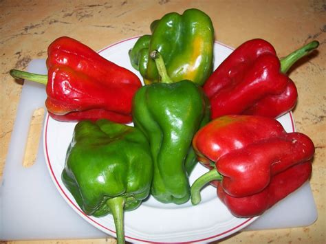 Pimientos rojos y verdes para salsa